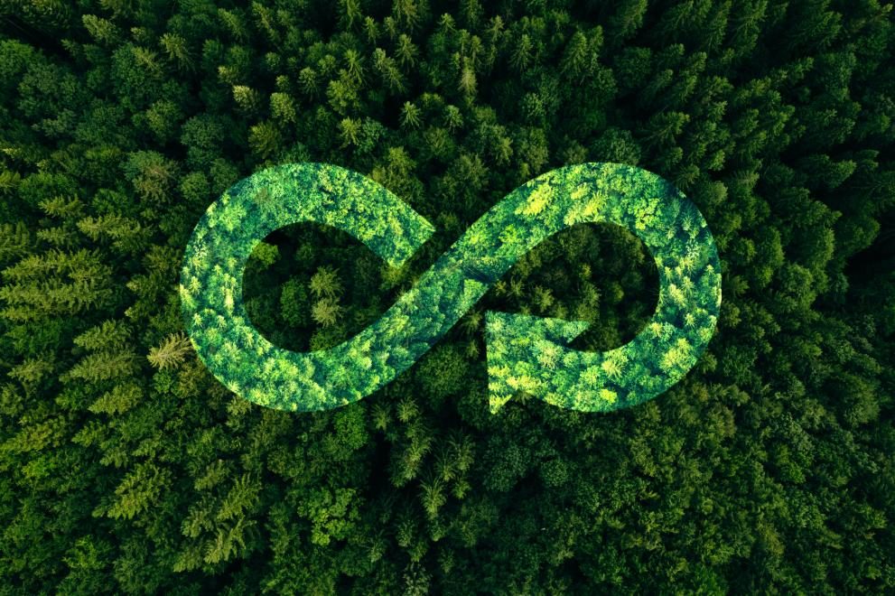 Infinity-shaped recycling arrow formed by treetops in a dense green forest, seen from above
